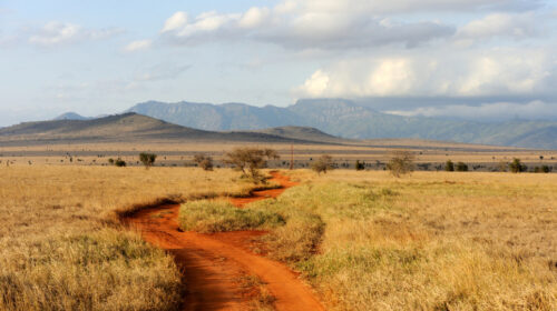 Tanzanie paysage