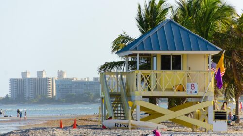 beach, miami, crandon park beach, nature, key biscayne, summer, ocean, florida, miami beach, bay, tourism, miami florida, waterfront, tropical, palm