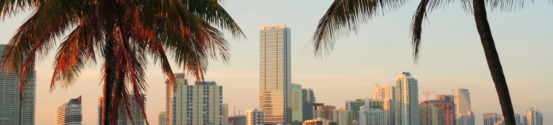 Wellness Voyages Expatriés français à Miami