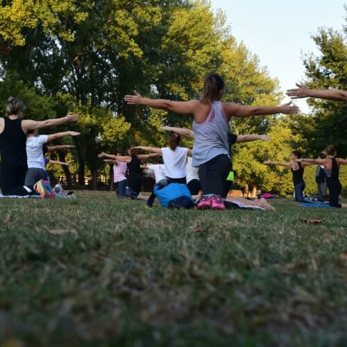 Group of adults practicing yoga outdoors in a park surrounded by trees.