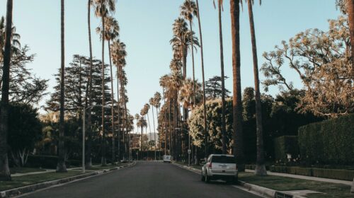 Scenic view of a palm-lined street in Beverly Hills during dusk, showcasing urban elegance.