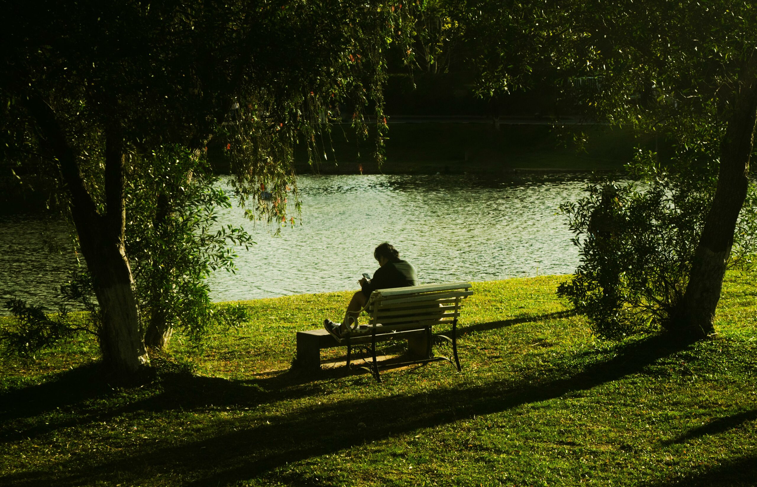 Person sitting alone on a park bench by a tranquil lakeside, surrounded by nature.