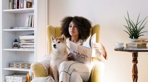 Woman reading a magazine at home with her Shiba Inu dog on a cozy chair.